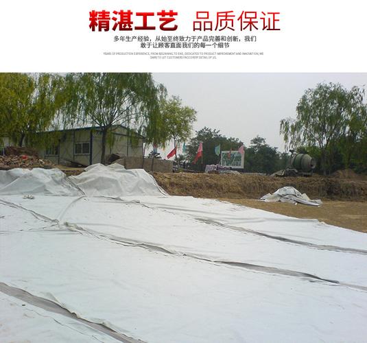 泰安市宁阳县磁窑高新技术开发区北首期待你的来电除了湛江复合土工膜